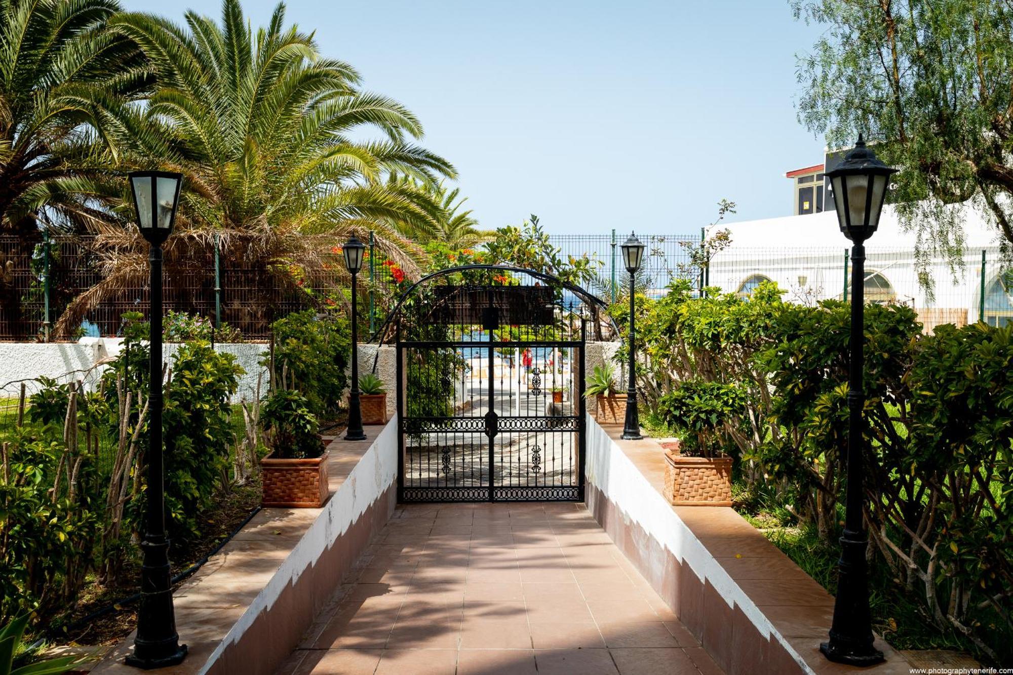 603 Comodoro Studio Beach Front Los Cristianos  Exterior foto